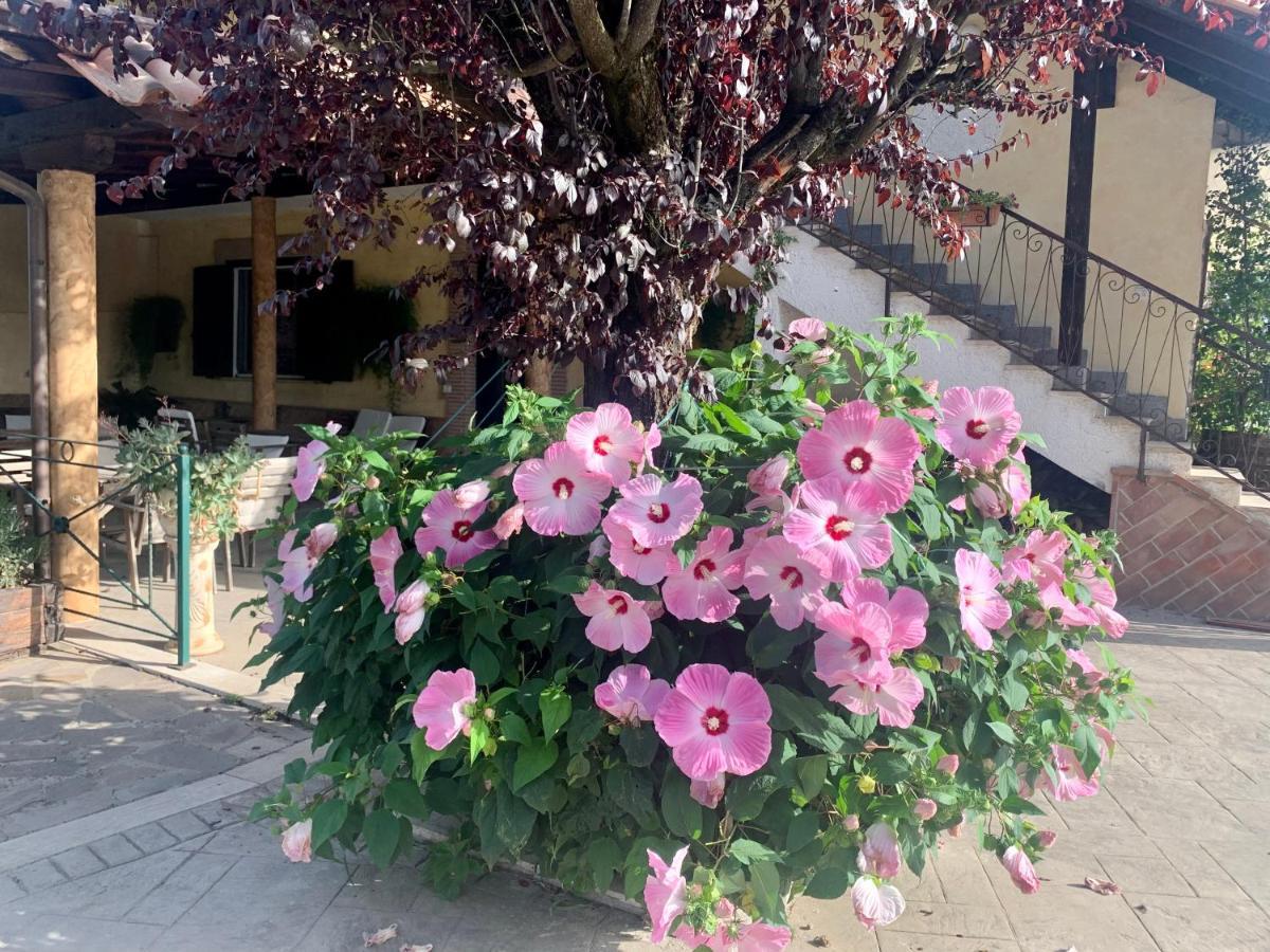 Residenza Cerci Hotel Valmontone Exterior foto